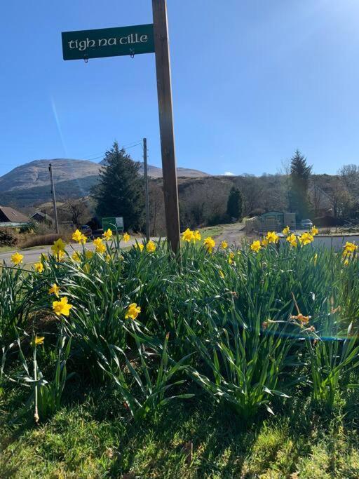Tigh Na Cille Studio, Taynuilt Exteriör bild