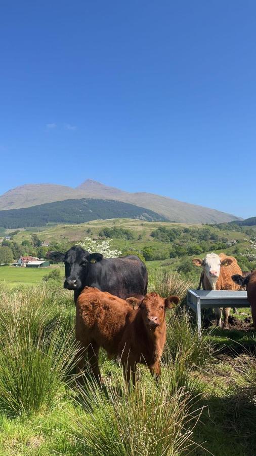 Tigh Na Cille Studio, Taynuilt Exteriör bild